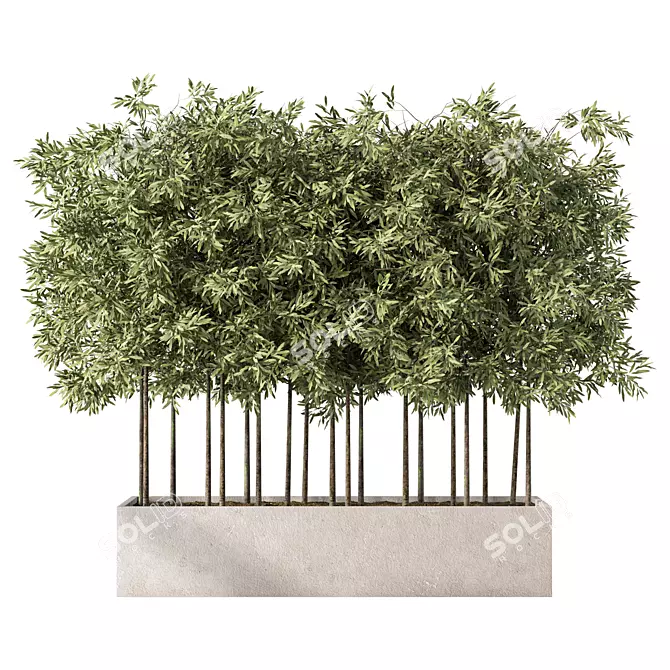 Evergreen Outdoor Plant No.60 3D model image 1
