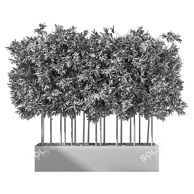 Evergreen Outdoor Plant No.60 3D model image 4