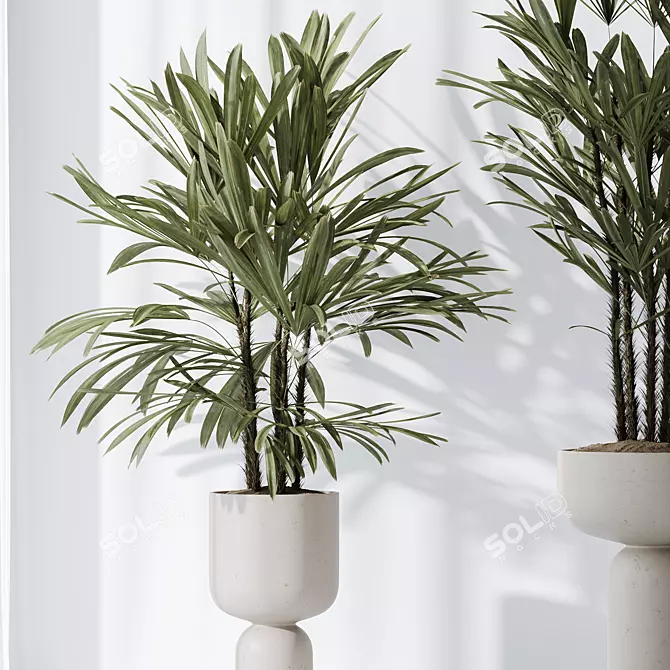 Tropical Plant Vase Collection 3D model image 5