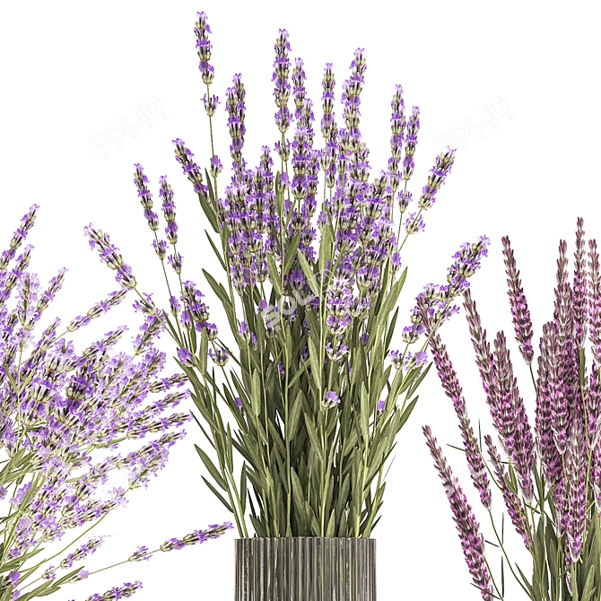 Field Flowers Bouquet Set 3D model image 2