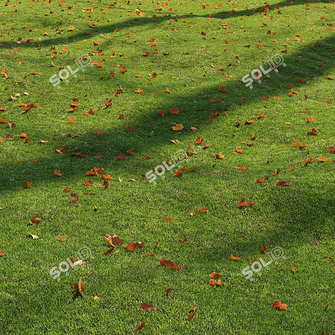 High-Quality Grass Bundle for Rendering 3D model image 2