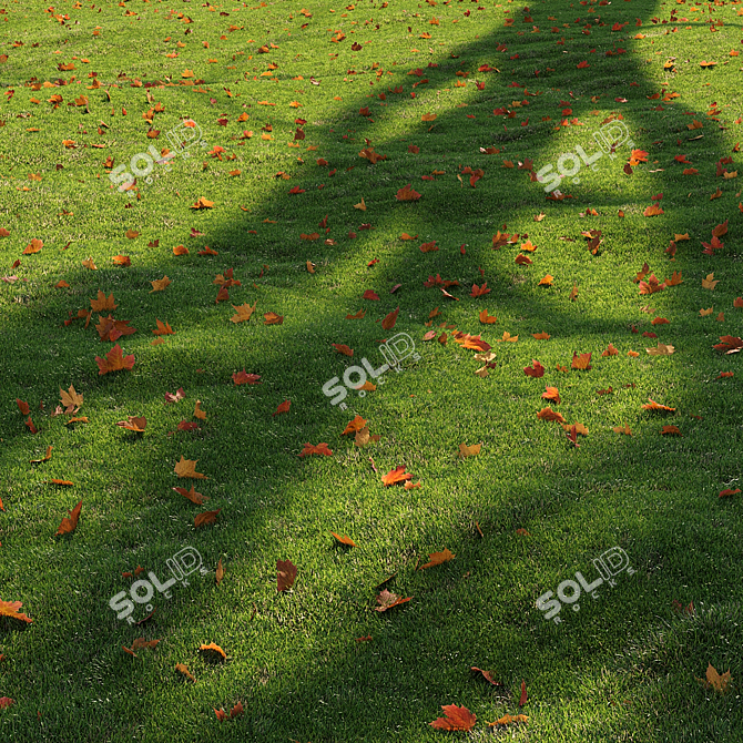 High-Quality Grass Bundle for Rendering 3D model image 3