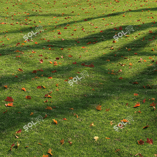 High-Quality Grass Bundle for Rendering 3D model image 4