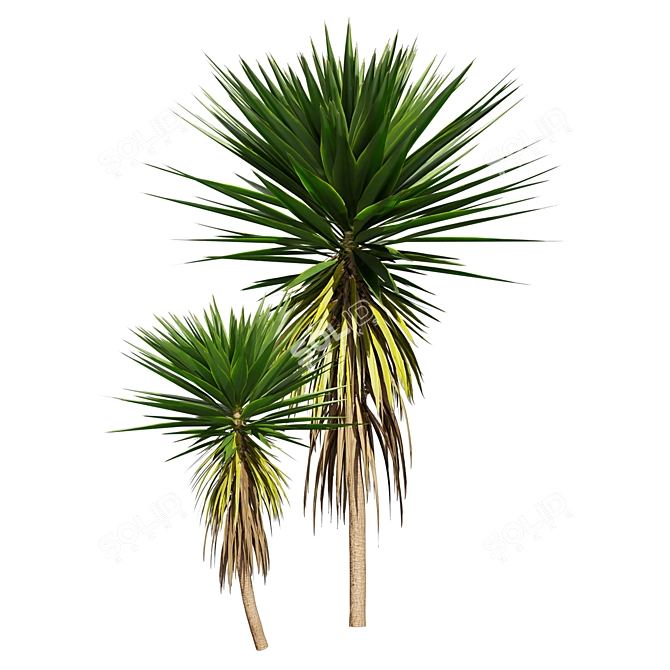 Low-Volume Yucca Palm Asset 3D model image 4