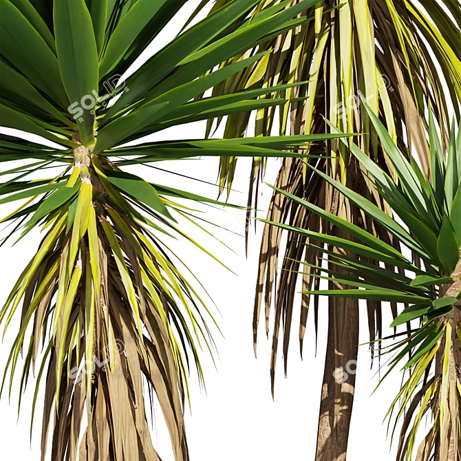 Low-Volume Yucca Palm Asset 3D model image 5