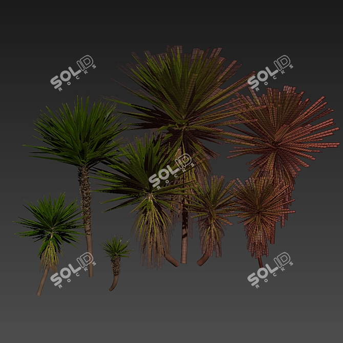 Low-Volume Yucca Palm Asset 3D model image 7