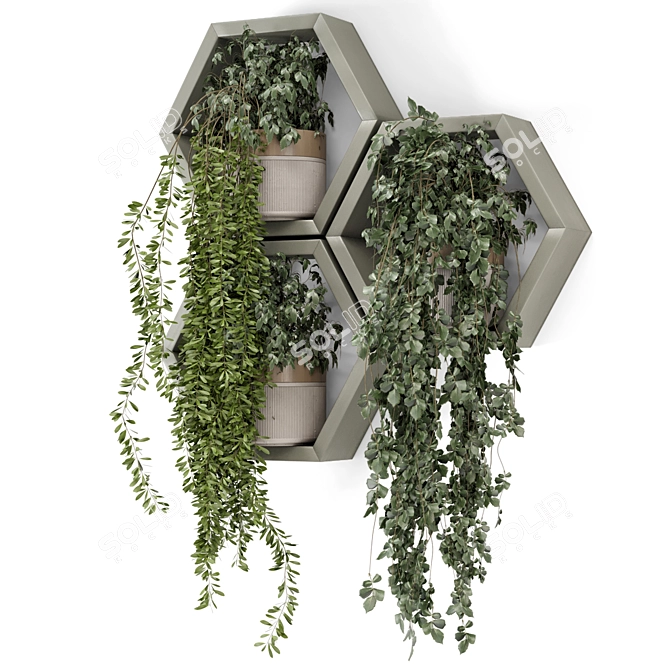 Modern Indoor Hanging Plant Shelves 3D model image 3