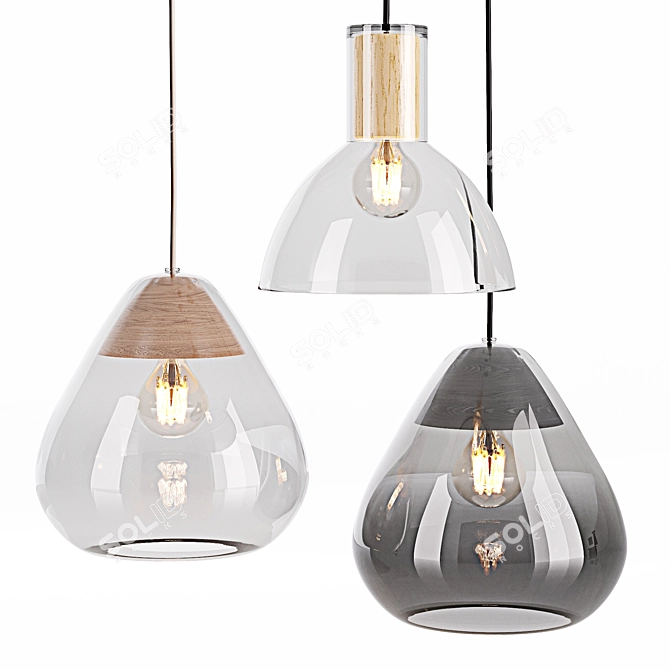 Glass and Wood Nasoa Lamp 3D model image 2