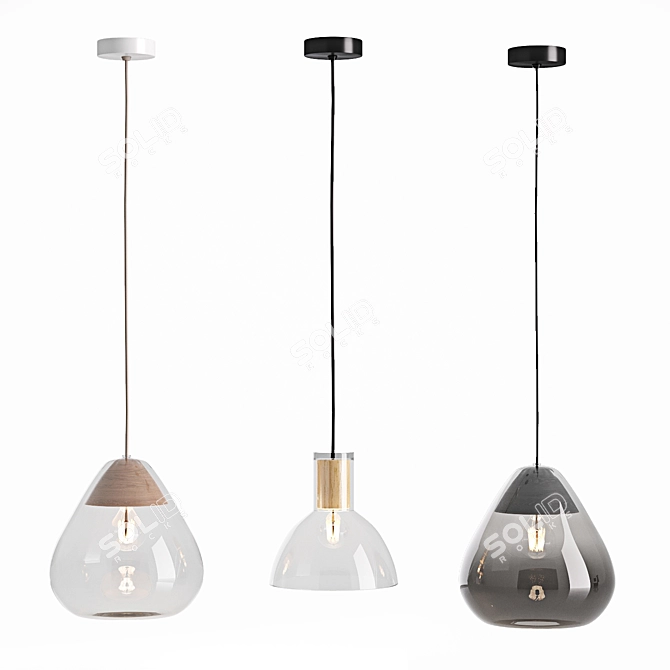 Glass and Wood Nasoa Lamp 3D model image 3