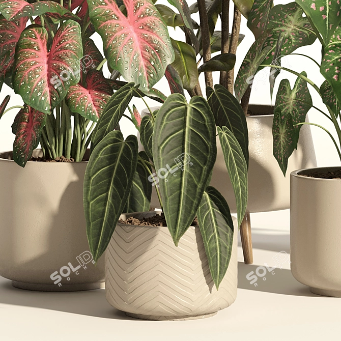 73-Piece Indoor Plant Ceramic Pot 3D model image 4