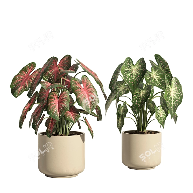 73-Piece Indoor Plant Ceramic Pot 3D model image 8