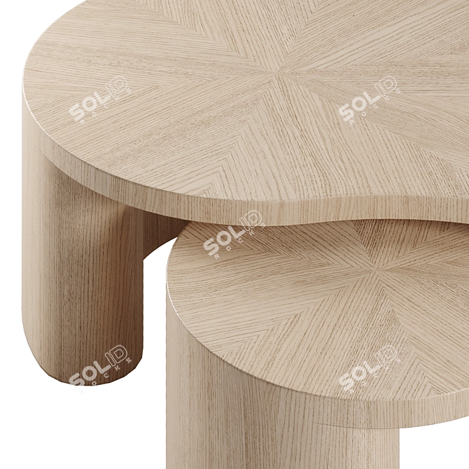 Oval Accent Coffee Table 3D model image 2