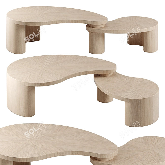 Oval Accent Coffee Table 3D model image 4