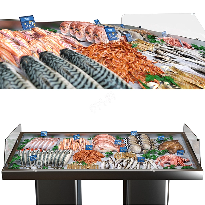 Seafood Showcase Display Stand 3D model image 2