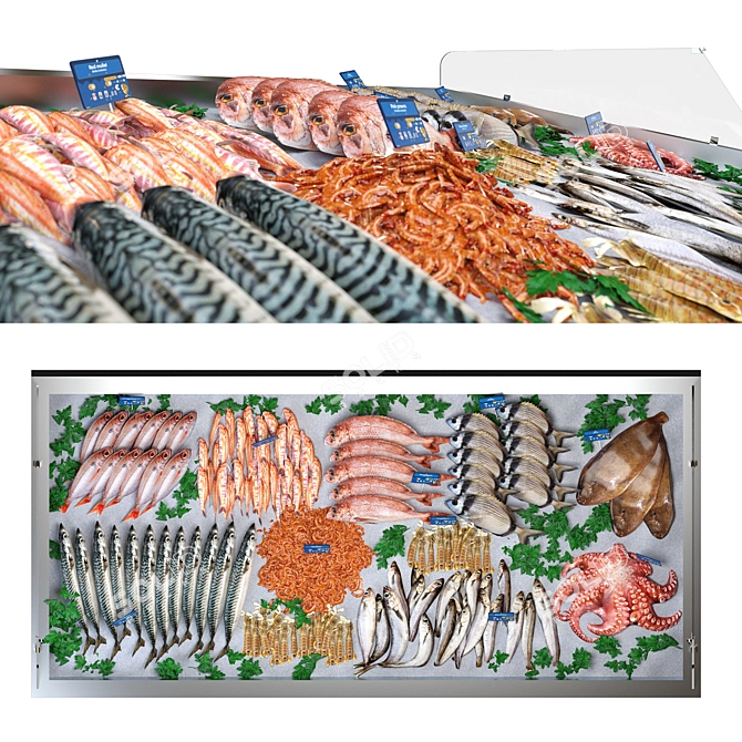 Seafood Showcase Display Stand 3D model image 4