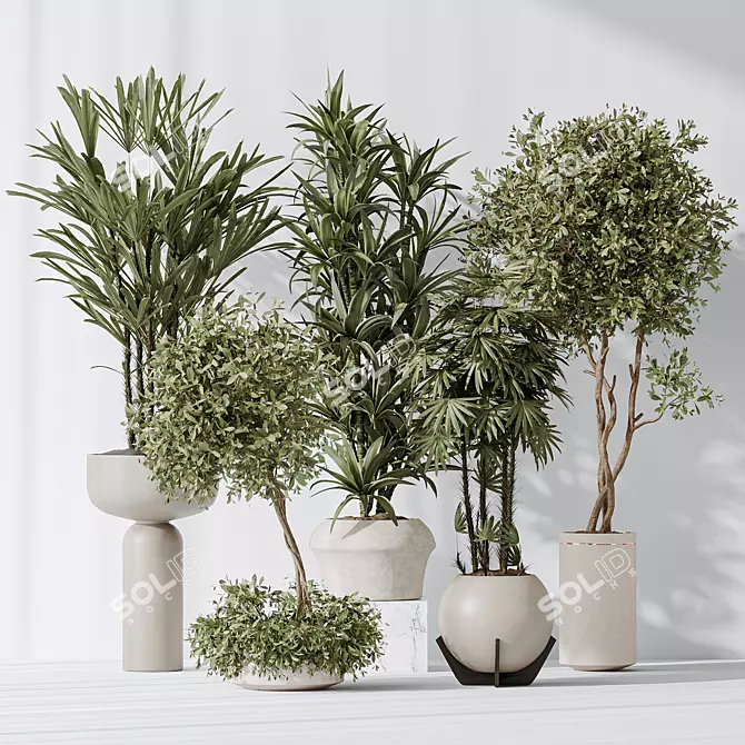 Indoor Plant Set 3D Models 3D model image 2