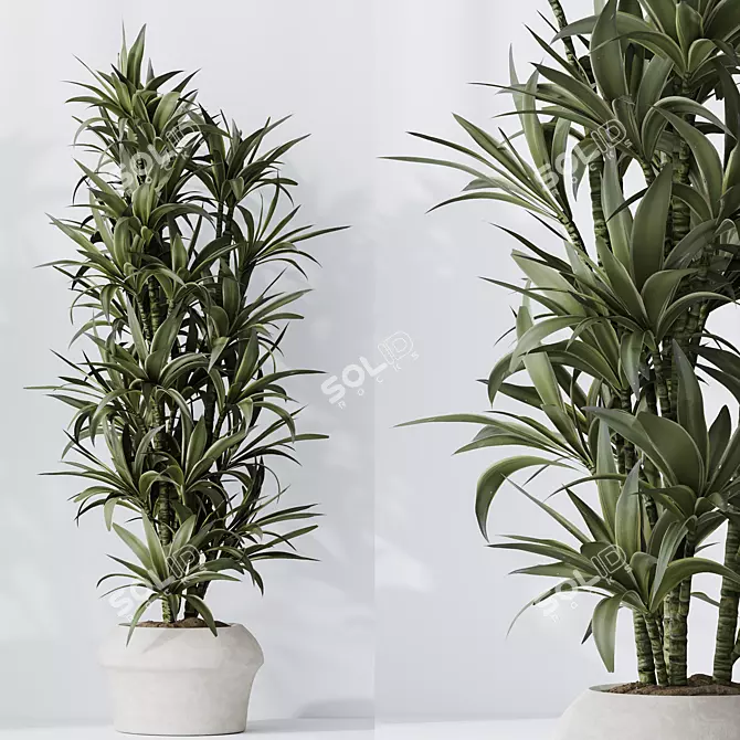 Indoor Plant Set 3D Models 3D model image 4