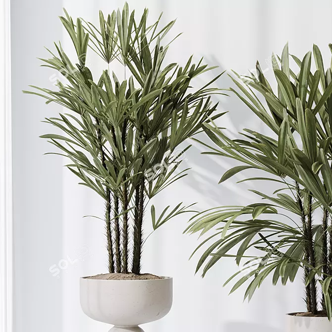 Indoor Plant Set 3D Models 3D model image 5