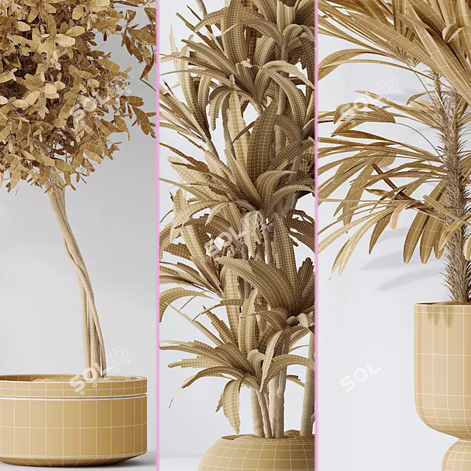 Indoor Plant Set 3D Models 3D model image 6