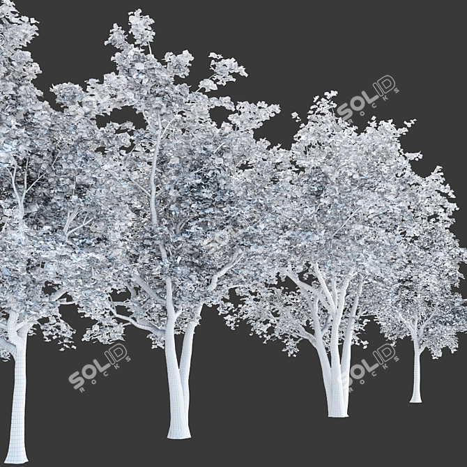 Tree Collection 3D Models Pack 3D model image 7