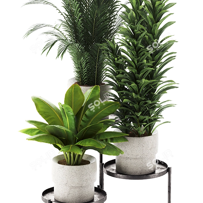 Rusty Concrete Pot Indoor Plant 3D model image 3