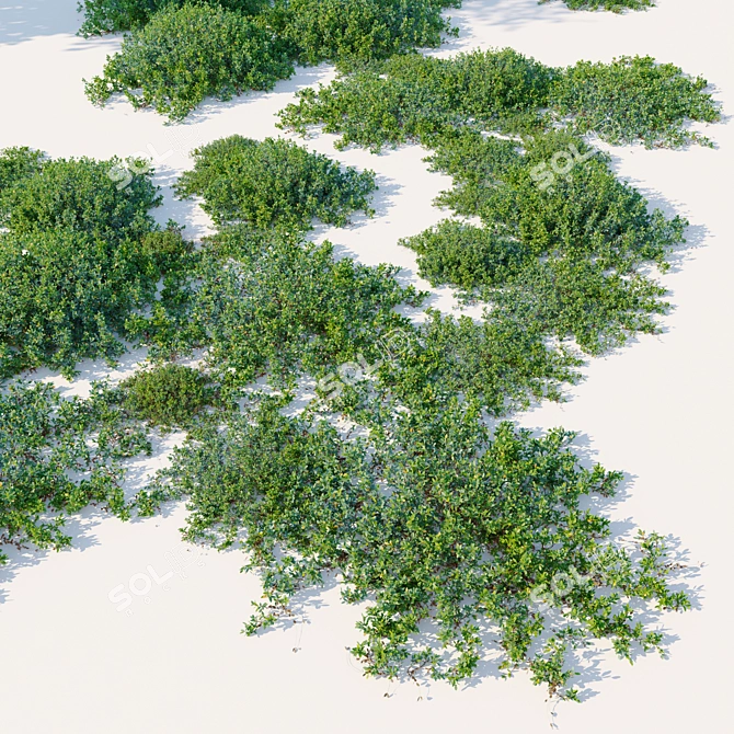 Bog Bilberry Bushes Set-Vray Max 3D model image 2