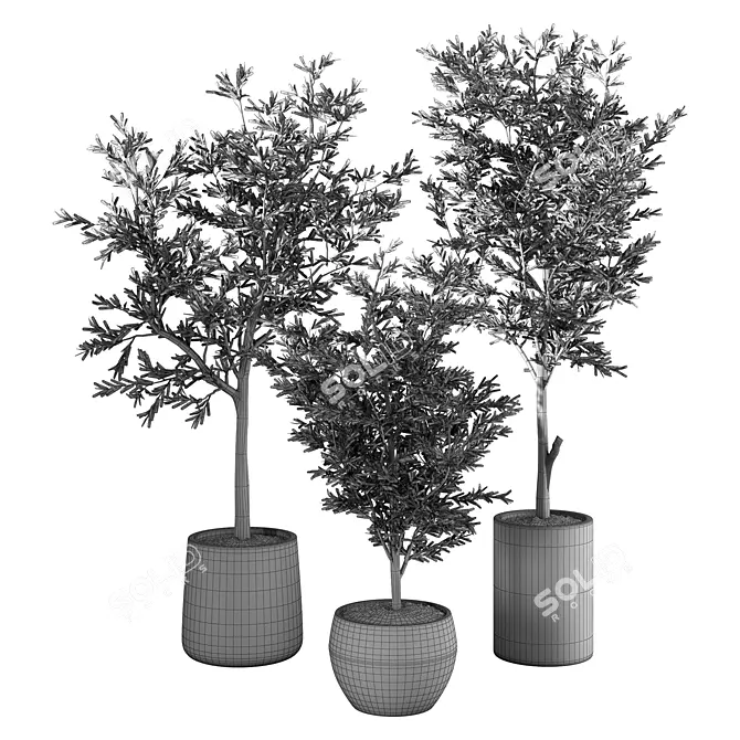 Hearty Olive Plant Set 3D model image 4