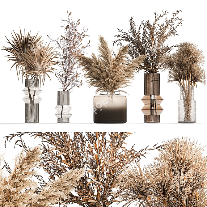 Modern Dried Flower Collection 3D model image 1