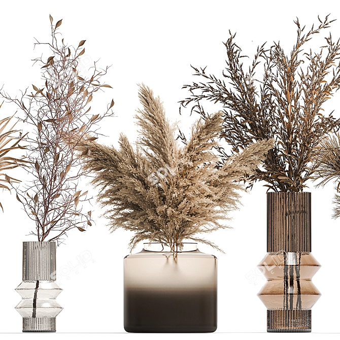 Modern Dried Flower Collection 3D model image 3