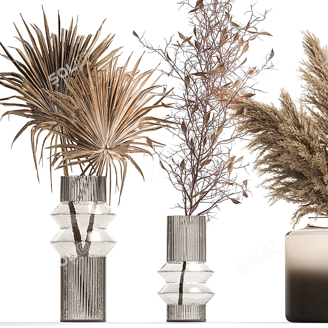 Modern Dried Flower Collection 3D model image 5