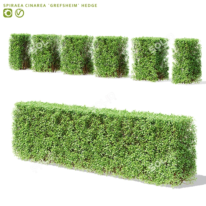 Versatile Modular Spiraea Hedge 3D model image 1