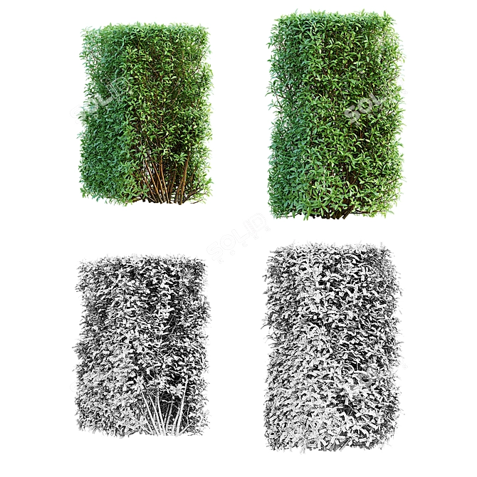 Versatile Modular Spiraea Hedge 3D model image 2