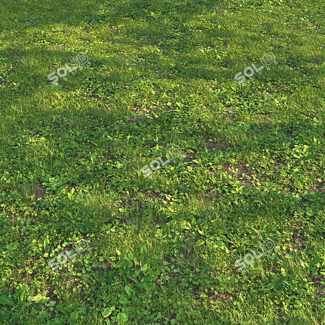 Versatile Grass Scatter Kit 3D model image 1