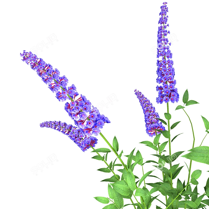 Enchanting Blue Butterfly Bush Set 3D model image 2