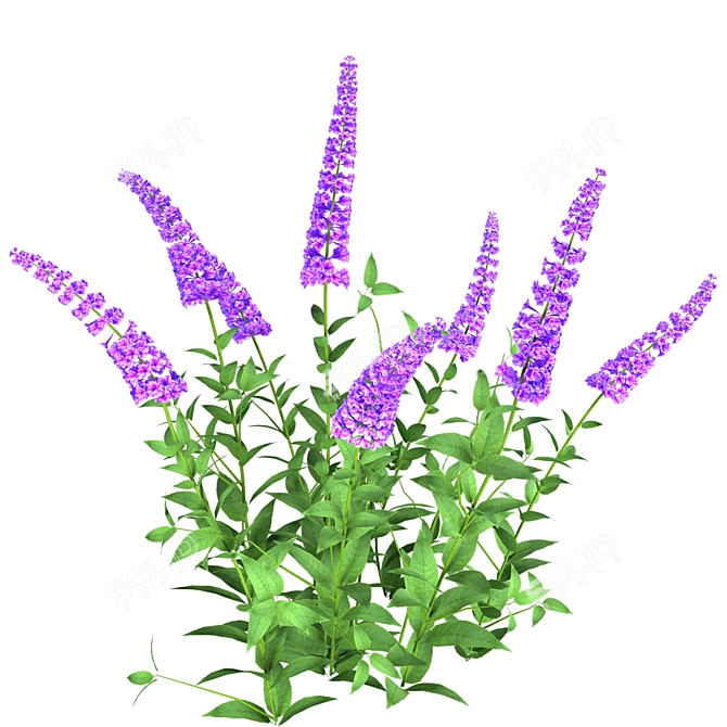 Enchanting Blue Butterfly Bush Set 3D model image 4