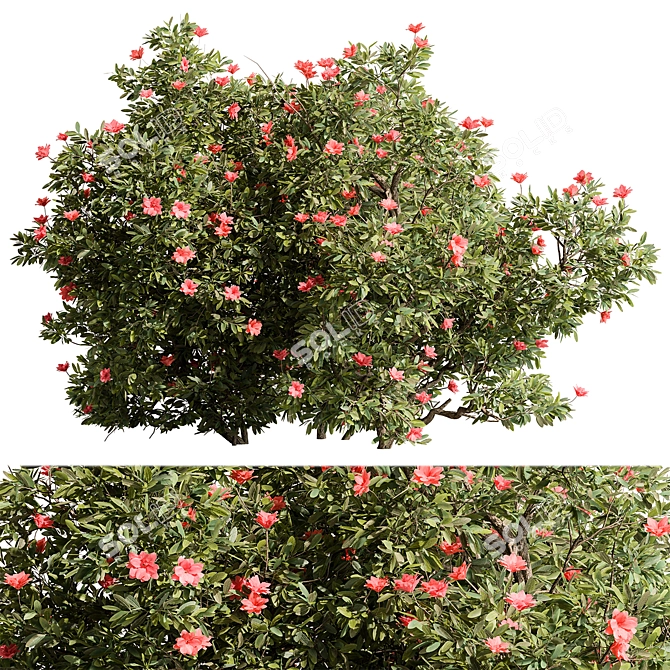 Creeper Flower Bush Collection 3D model image 1