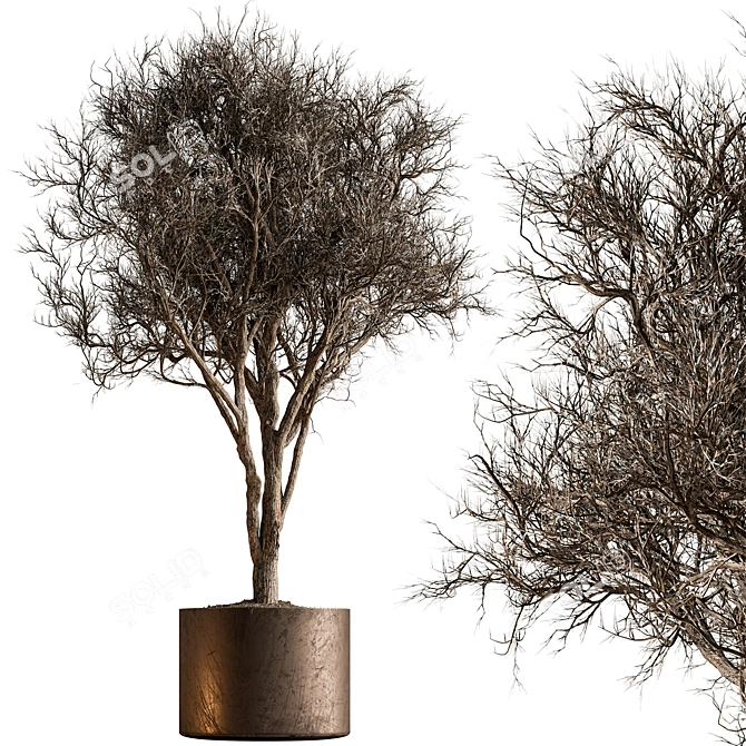 Desert Bloom Indoor Tree 3D model image 1