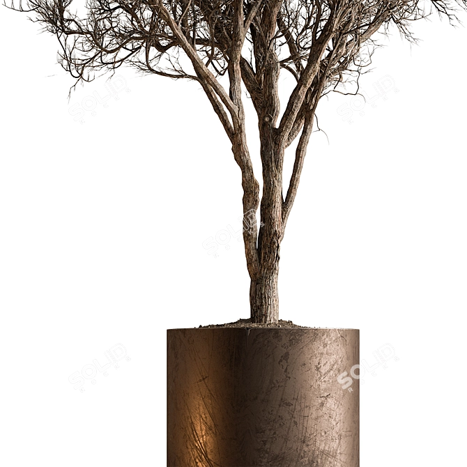 Desert Bloom Indoor Tree 3D model image 3