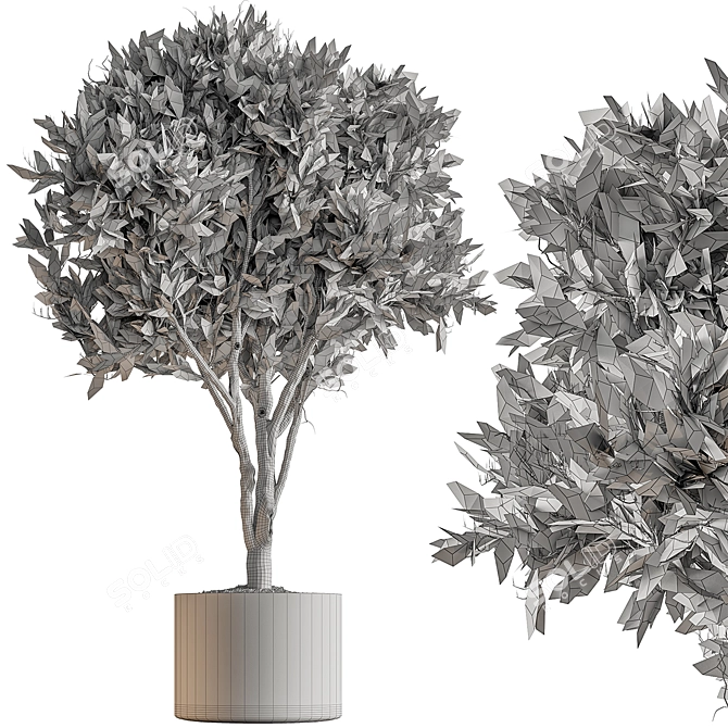 Desert Bloom Indoor Tree 3D model image 4