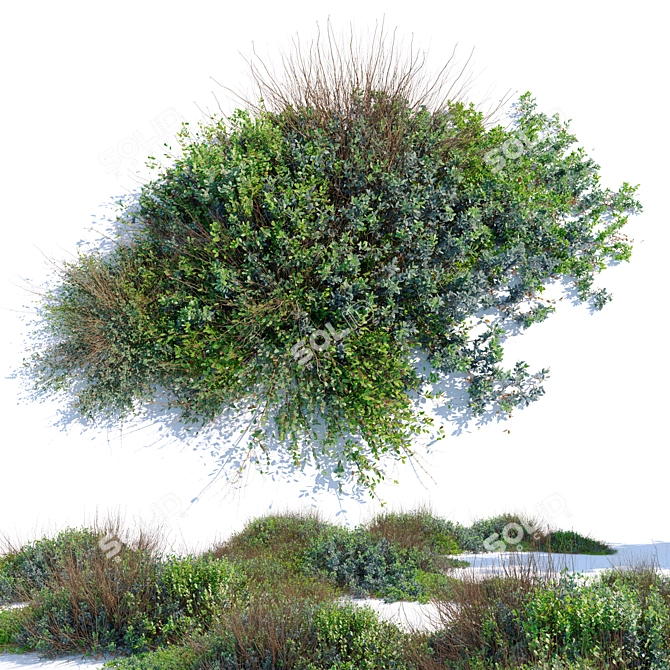 Nature Inspired Vray Material Library 3D model image 1