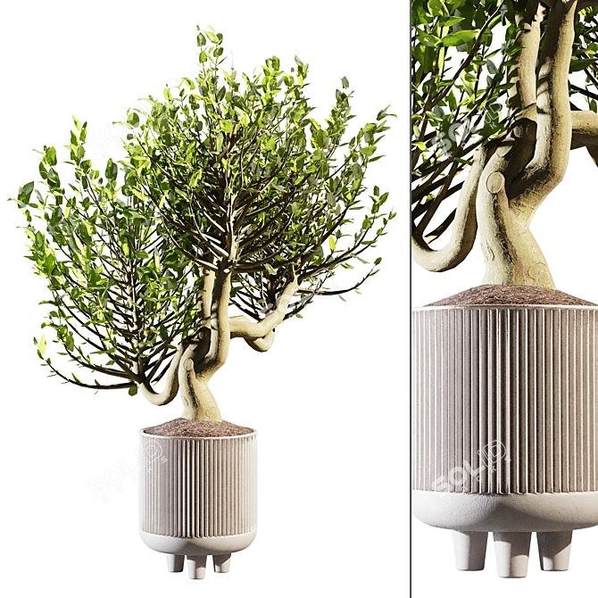 20cm Indoor Plant 3D Model 3D model image 1