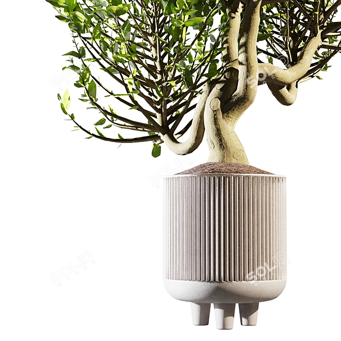 20cm Indoor Plant 3D Model 3D model image 3