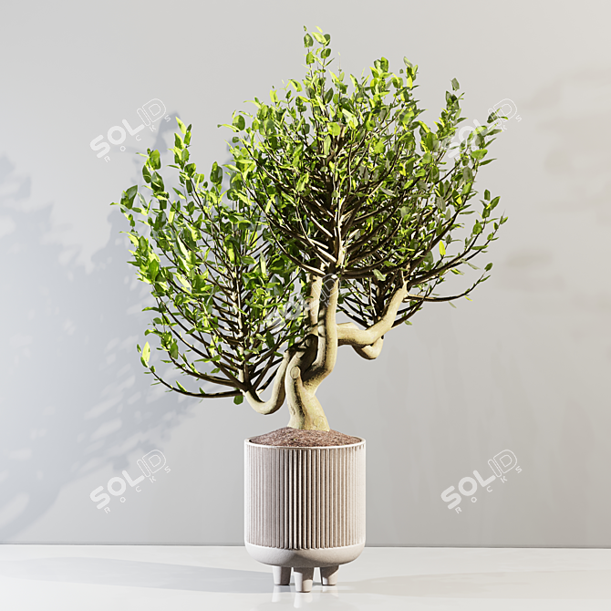 20cm Indoor Plant 3D Model 3D model image 6