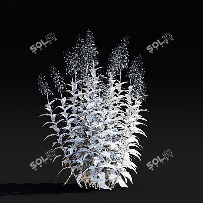 Lobelia cardinalis Flower Collection 3D model image 5