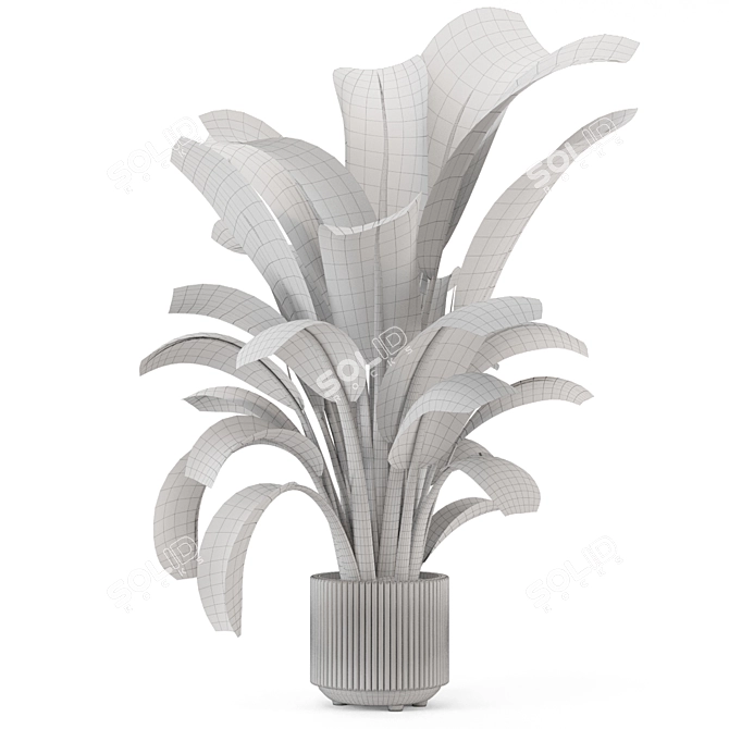 Bau Pot Large Indoor Plants 3D model image 4