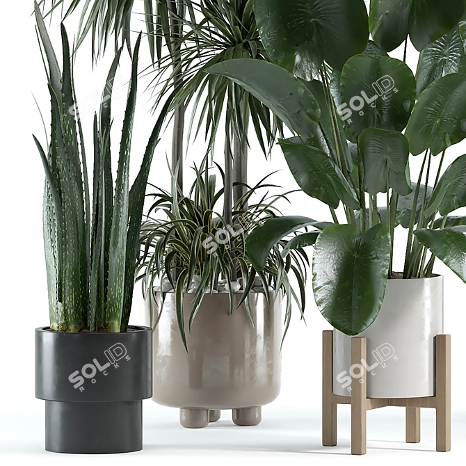 Custom VRay Indoor Plant Model 3D model image 3
