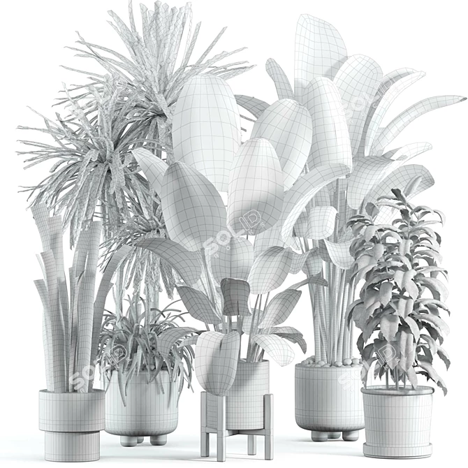 Custom VRay Indoor Plant Model 3D model image 5