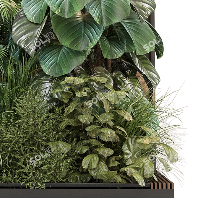 Green Haven Indoor Plants Set 3D model image 4