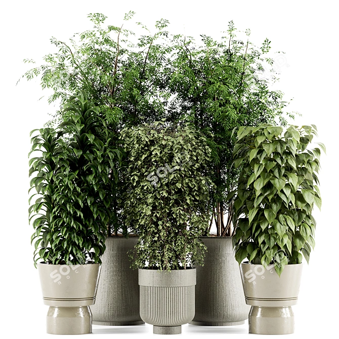 High-Quality Indoor Plant Set 3D model image 1