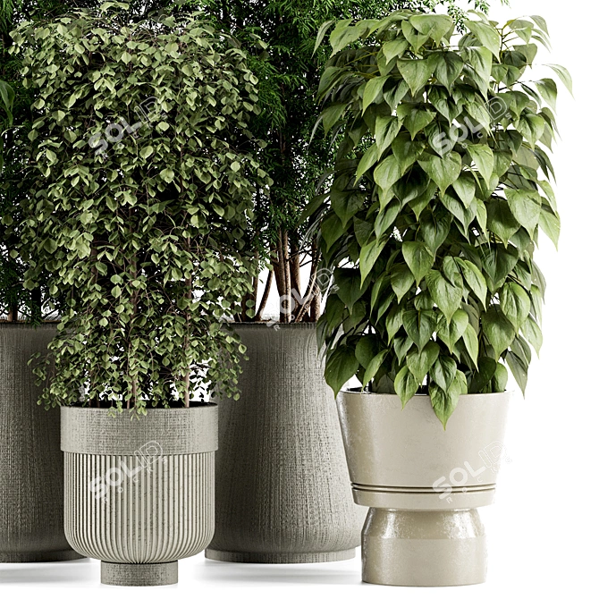 High-Quality Indoor Plant Set 3D model image 3